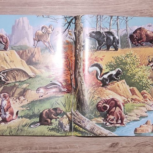 Panini Super Zoo 1975 album used, completed