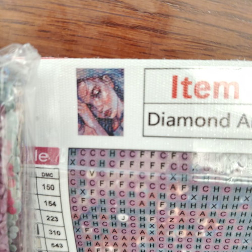 Diamond Painting Kit 30x40 Girl new