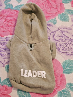 Pet Circle "LEADER" warm dog sweatshirt size XS like new