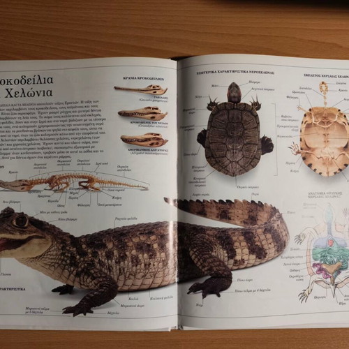 Ta Zoa panoramic animal encyclopedia like new, Greek language