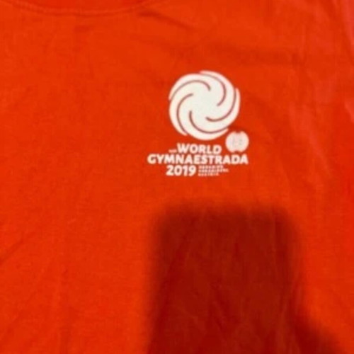 16th World Gymnaestrada 2019 Dornbirn Austria T-shirt Large cotton like new