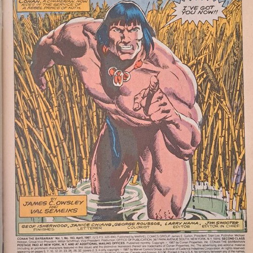 Conan the Barbarian Marvel Comics Issue 193 like new