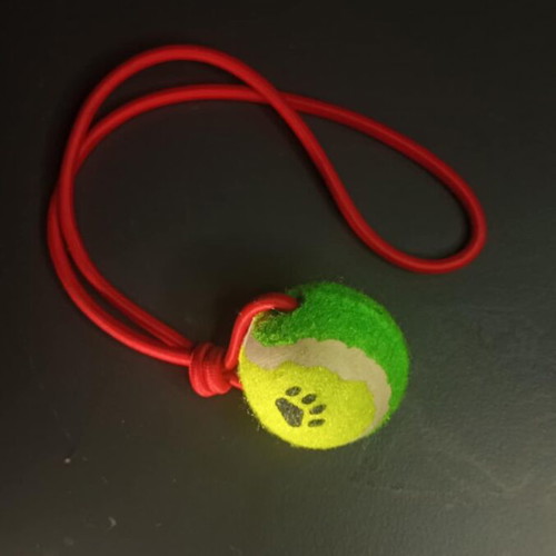 Dog Toy new