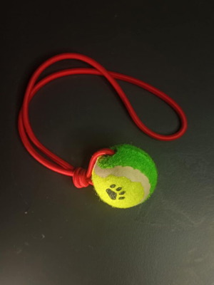 Dog Toy new