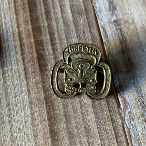 Scout badge used