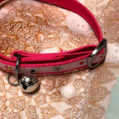 Cat collar new, suitable for all breeds and sizes