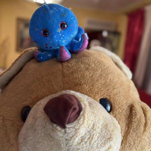 Giant Teddy Bear used, large plush brown