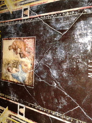 The Ancient Novel by Thomas Hagg new