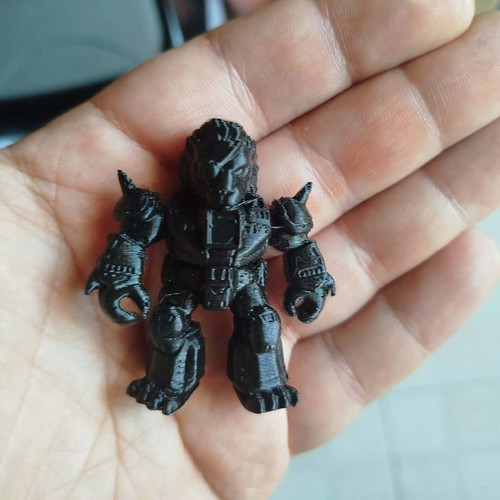 Lion figure black printed new