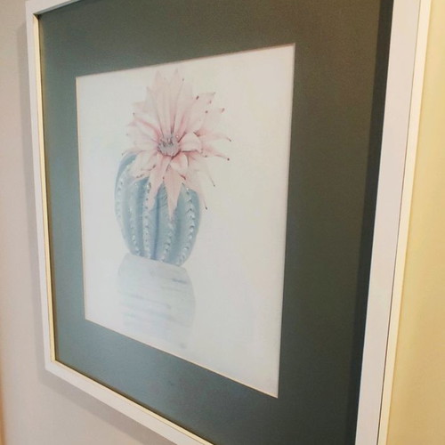 Cactus Plant Art Print used, framed