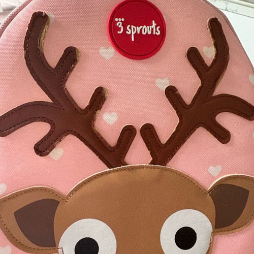 3 Sprouts insulated bag used with lunchbox