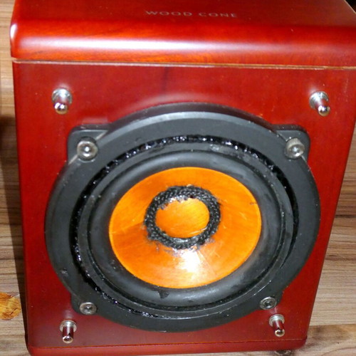Mini System JVC EX-D1 Woodcone like new