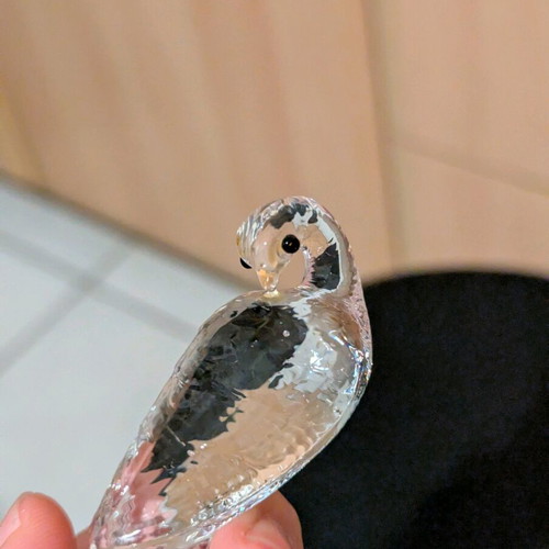 Decorative transparent bird like new