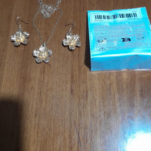 Jewelry set necklace earrings new gold-colored
