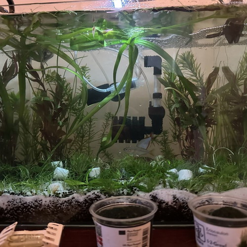 Waterbox Clear Mini 6 Aquarium like new, 20 liters