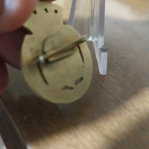 Scout pin used