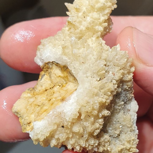 Lot of fossils and rocks from Greece new, educational collection