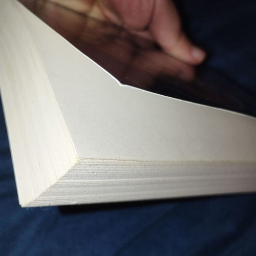 Final Target used book by James Patterson