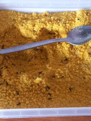 Canary Vitamin like new, yellow and very good
