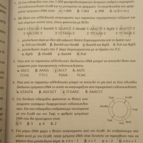 Salamastrakis Biology Grade 3 Lyceum Volume B used