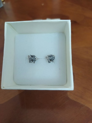 925 Silver Earrings Capricorn Symbol new