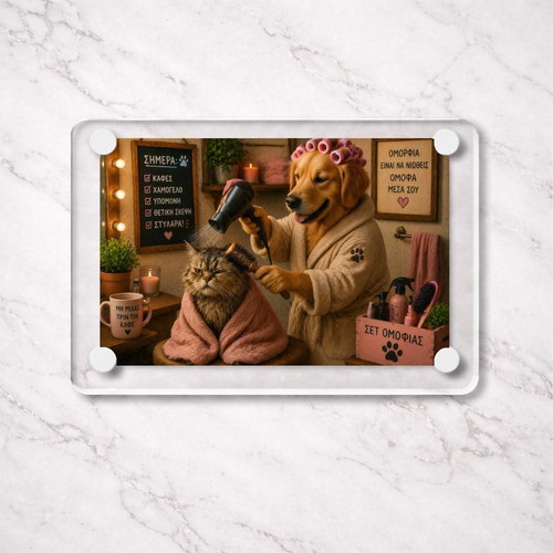 Acrylic Beauty Day Pets fridge magnet new