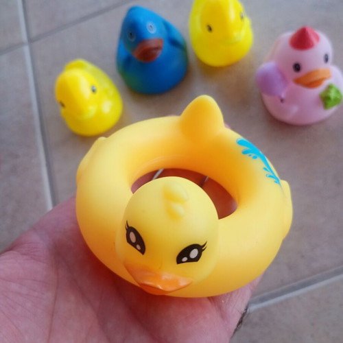 Rubber duck toys, pack of 5