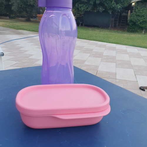 Tupperware kids set 2 pcs 120 ml bowl and 310 ml bottle