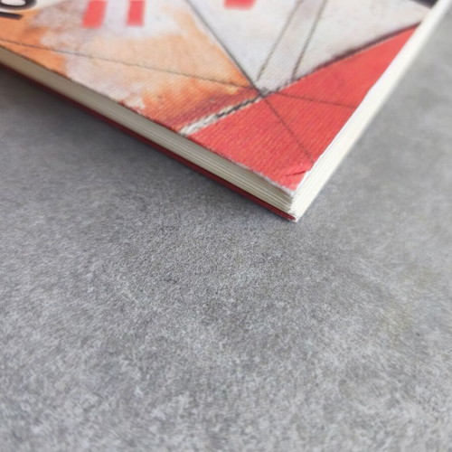 Book The Wild Numbers used