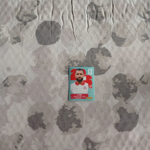FIFA World Cup 2026 sticker