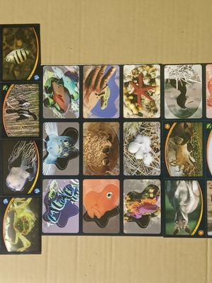 Panini National Geographic Animal Champions Ζώα Πρωταθλητές αυτοκόλλητα σαν καινούργια, πακέτο 30