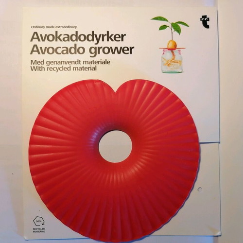 Avocado cultivation method in like new condition