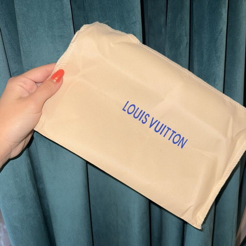 Dust bag Louis Vuitton new