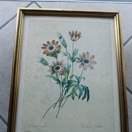 Flower frames set of 8, like new, 24x31.5 cm