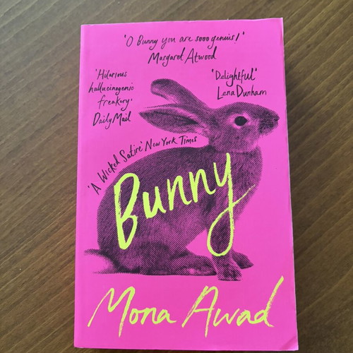 Bunny by Mona Awad book in like new condition