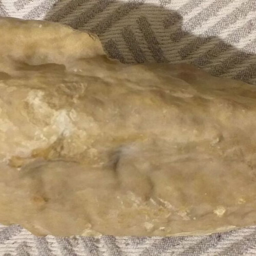Fossils like new, set with comb, starfish and unknown