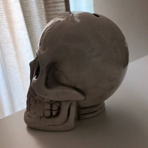 Skull piggy bank new