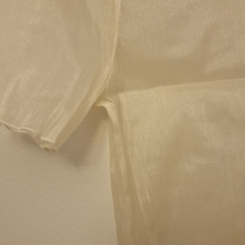 Sheer short-sleeve blouse like new, one size