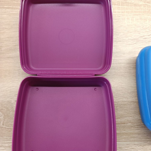 Tupperware toast and snack container Frozen
