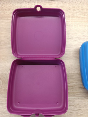 Tupperware toast and snack container Frozen