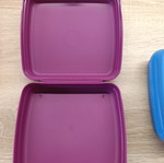 Tupperware toast and snack container Frozen