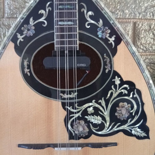 Trichordo Bouzouki like new with pickup
