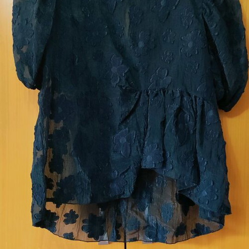 Zara Sheer T-shirt new, medium size, black with flowers