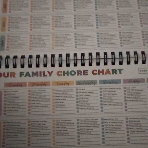 Cleaning and Decluttering Book like new
