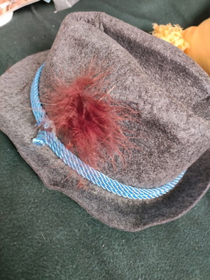 Bavarian hat grey with feather like new