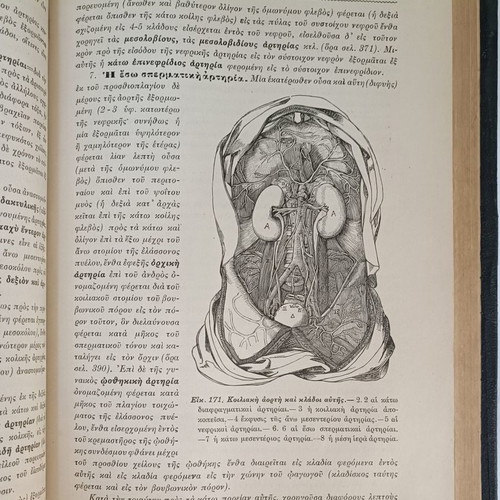 Anatomy of Man used, 1914, by N.P. Michalakeas
