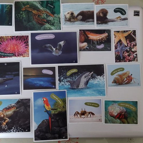 Vasilopoulos Stickers Explore the Ocean New Collection 1-102 with 5 Tattoos