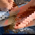  σορτς 2-3 ετών φορεμένα