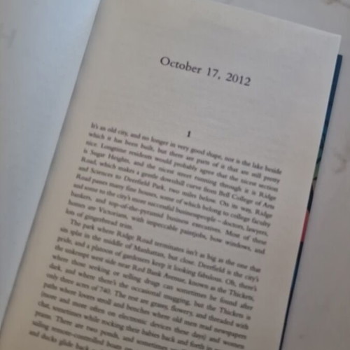 Holly by Stephen King hardcover English edition