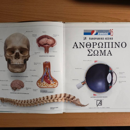 The Human Body panoramic dictionary used, Greek language